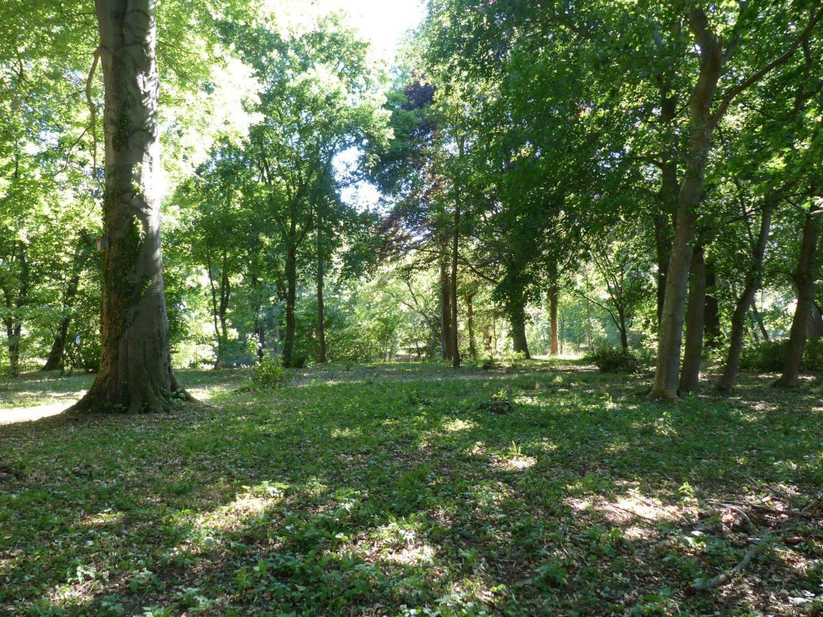 Ferienwohnung Mit Brockenblick Langenstein Exteriör bild